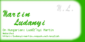 martin ludanyi business card